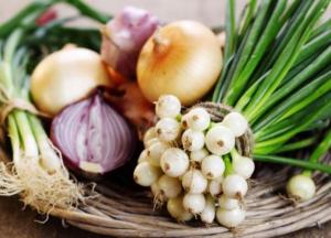 Медики рассказали о главных свойствах лука