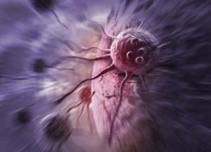 Названы продукты, которые способны снизить риск развития рака