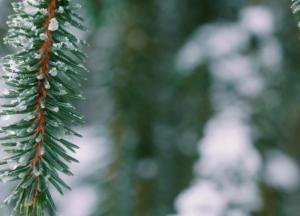 Прогноз погоды на 11 января: почти по всей территории пройдет снег с дождем