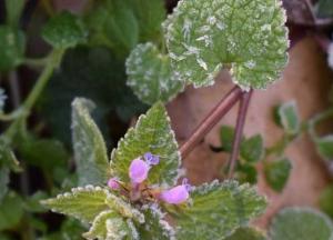 Прогноз погоды на 7 октября: штормовой ветер и местами заморозки