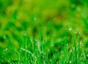 Дожди уходят: синоптики дали обнадеживающий прогноз на субботу