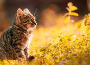 Синоптики сообщили о стремительных переменах погоды в Украине