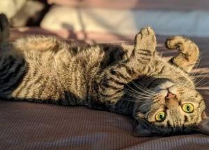 Прогноз погоды на 2 декабря: в Украину идет временное потепление