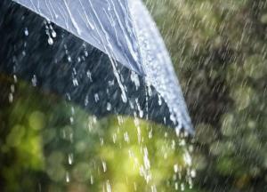 Ученые установили, чем пахнет дождь