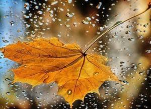 В Украину зайдет похолодание: синоптик рассказала о "сюрпризах"