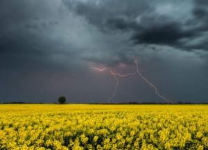 Прогноз погоды на 2 июля: местами снова будет дождливо и греметь