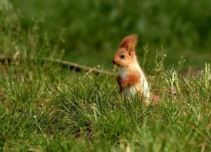Прогноз погоды на 3 апреля: в Украине до +13, в Карпатах – мокрый снег