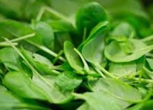 Названы продукты, особенно полезные для женщин