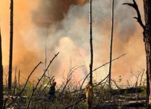 Пожежа у Чорнобильській зоні через уламки дрона погіршила якість повітря в Києві