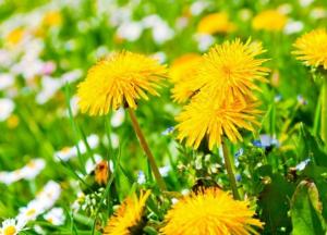 С 9 мая синоптики прогнозируют повышение температуры и атмосферного давления, 14-15 мая – сильные магнитные бури