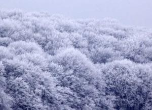 Прогноз погоды на 13 января: штормовой ветер и мороз