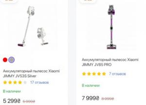 5 лучших производителей аккумуляторных пылесосов