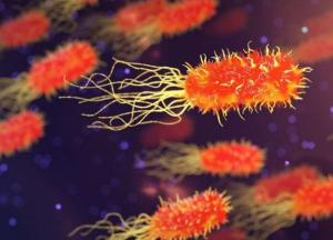 Ученые обнаружили, что микробы способны выживать в космических условиях