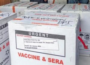 Вакцине Sinovac выдали разрешение на использование