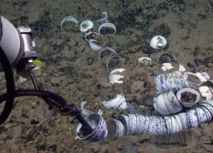 В Средиземном море нашли 12 кораблей с сокровищами (фото)