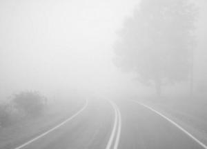Синоптики предупреждают о густом тумане в Украине