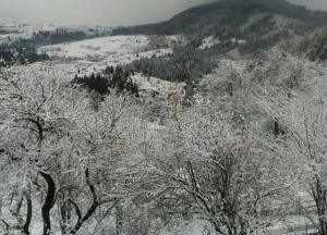 В Киеве резко ухудшится погода: идет метель и шквальный ветер 