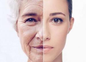 Ученый назвал простые привычки, которые замедлят процесс старения