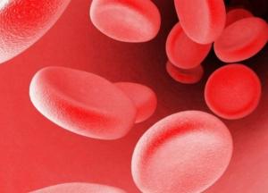 Ученые изобрели "нанолекарство" от рака