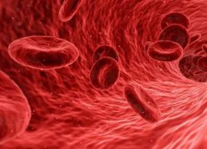 Медики нашли способ очистить кровеносные сосуды и предотвратить инсульт