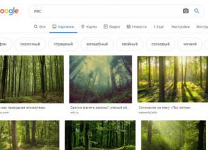 Google Картинки убирает быстрый доступ к информации о разрешении