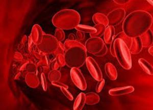 Медики назвали продукты, которые повысят гемоглобин