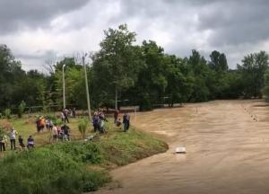 "Подводное" кладбище и угроза ЧП на дамбе: страшные фото и видео потопа на Прикарпатье