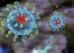 Во Франции и Израиле появились новые мутации коронавируса
