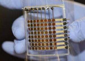 В США впервые напечатали гибкий OLED-дисплей на 3D-принтере