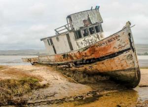 В трюме затонувшего корабля обнаружили древнего монстра