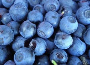 Этот сок улучшает работу мозга