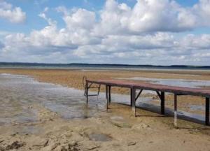 Резкое падение уровня воды в Шацких озерах: открыто уголовное дело