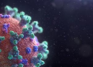 Ученые выяснили, как иммунная система борется с коронавирусом