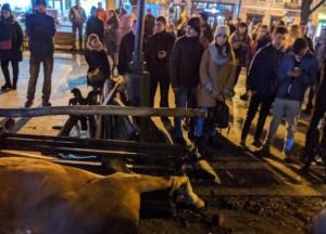 Во Львове испуганная лошадь покалечила 15-летнюю девушку (видео)