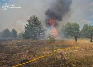 На Київщині другий день гасять масштабну пожежу на стихійному звалищі