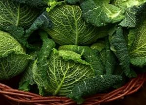 Медики перечислили продукты, способствующие долголетию