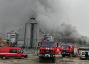 В Ивано-Франковской области произошел масштабный пожар на свинокомплексе (фото)
