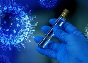 Названы средний и максимальный сроки выделения коронавируса организмом человека