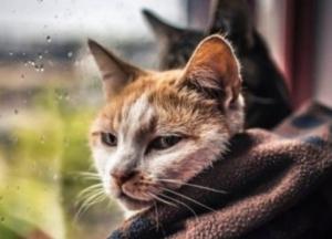 Прогноз погоды на 6 апреля: часть Украины охватит серьезное похолодание