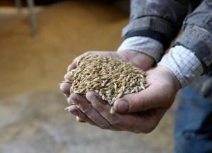 Аудит выявил в Аграрном фонде миллиардные потери