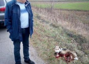 Под Хмельницким мужчина привязал собаку к машине и 1,5 км тащил по дороге (видео)