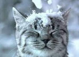 Прогноз погоды на 11 января: Украину затянет тучами и похолодает