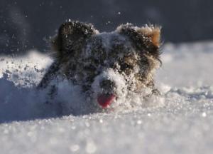 Прогноз погоды на 6 февраля: по некоторым областям ударят морозы