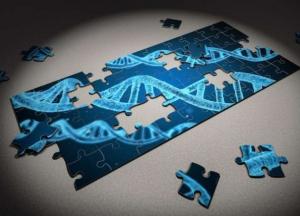 Ученые "взломали" генетический код жизни