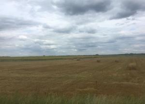 В Украине ускорилось падение в базовых отраслях