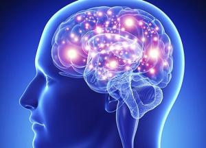 Медики рассказали, какая еда мешает мозгу правильно распределять энергию