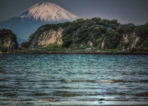 Япония впервые за десятки лет начнет уничтожать вымирающих животных