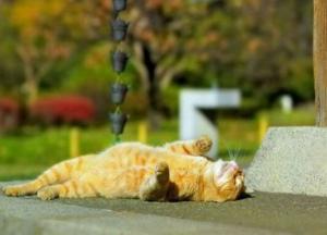 Осень дышит в спину: синоптики уточнили похолодание в Украине