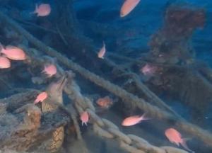 У берегов Италии обнаружили судно 16 века