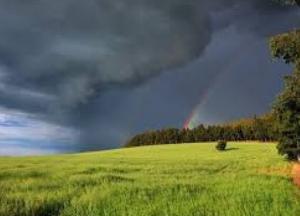 Прогноз погоды на 31 июля: жара окончательно отступает